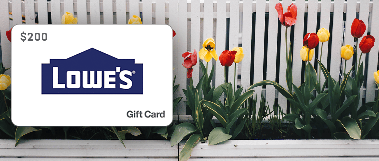 Newsletter Giveaway Image-3